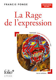 La Rage de l'expressioon